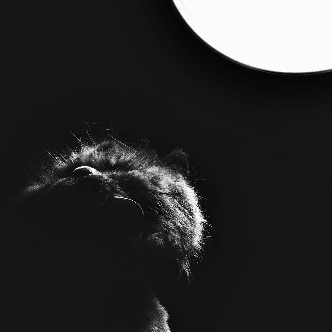 Heasn Mohamadi Gallerys